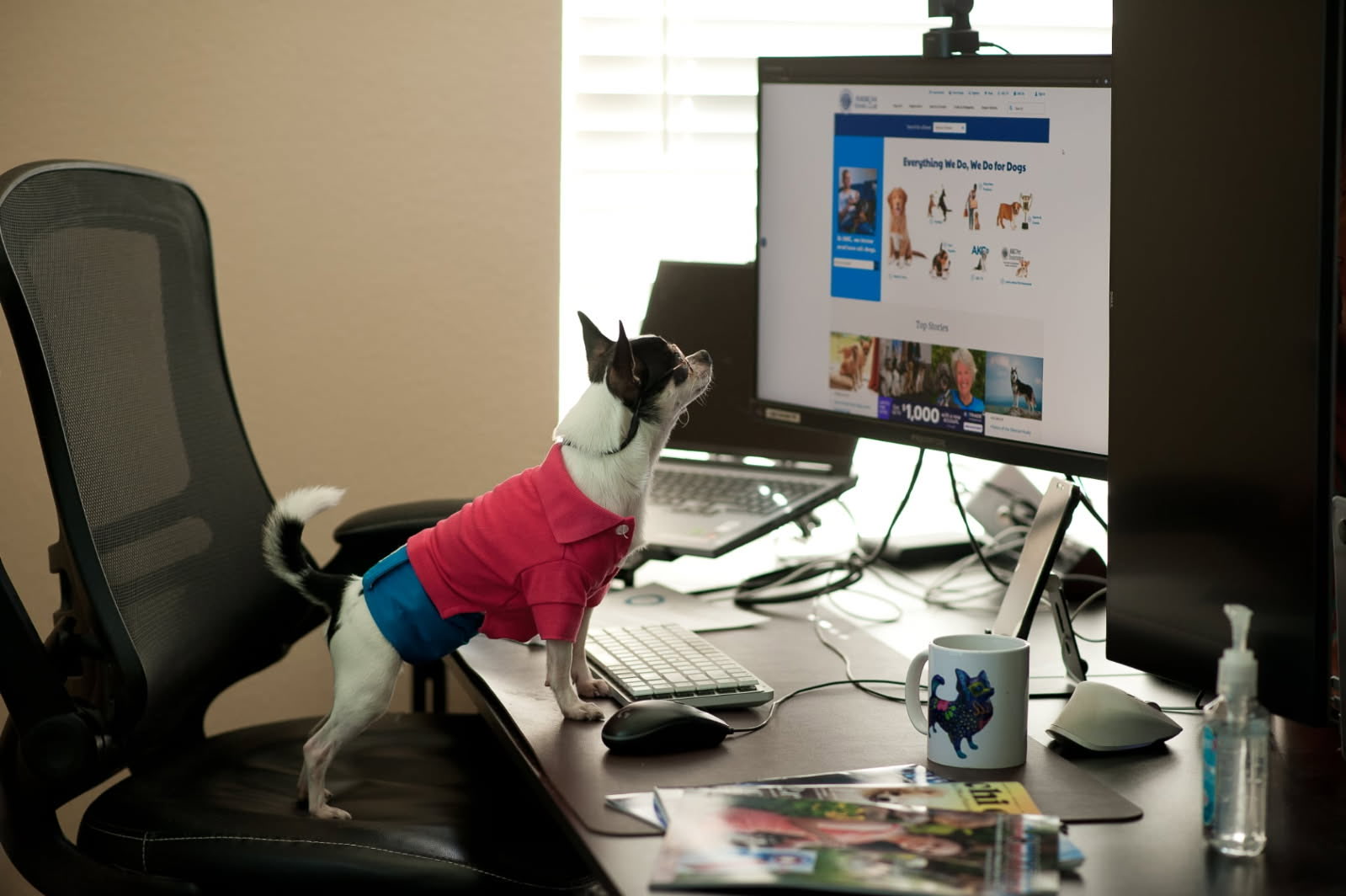 Team of software developers building solutions together with shared vision and collaboration